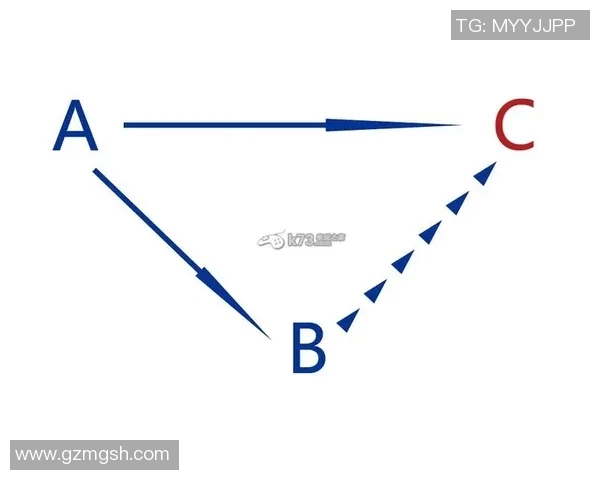广州排球队的战术转换分析与得失评估 广州排球队的战术转换分析与得失评估