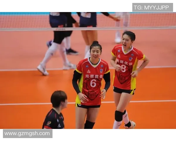 深圳排球队与重庆排球队赛后分析力量对比与战术探讨 深圳排球队与重庆排球队赛后分析力量对比与战术探讨