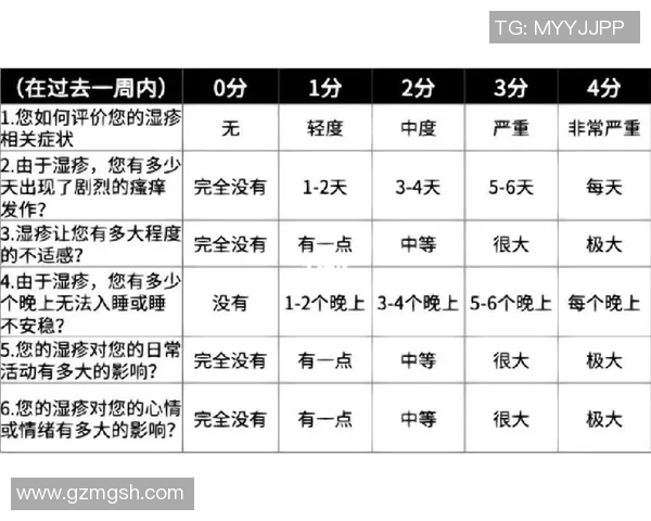 上海篮球队状态分析与表现评估大满贯点评