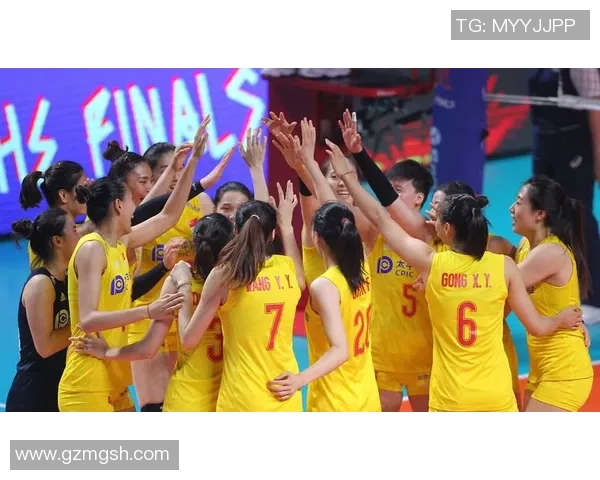 南京排球队荣登全国排球团队协作排行榜第三名展现卓越团队精神