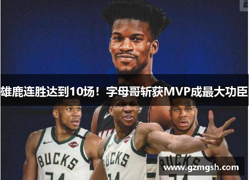 雄鹿连胜达到10场！字母哥斩获MVP成最大功臣